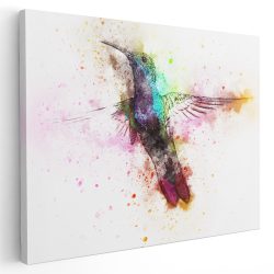 Tablou canvas pasare colibri acuarela multicolor pe fundal alb 1122 - Afis Poster pasare colibri pentru living casa birou bucatarie livrare in 24 ore la cel mai bun pret.