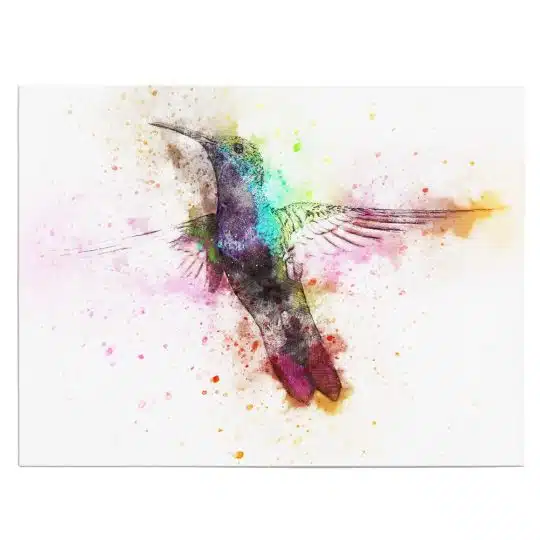 Tablou canvas pasare colibri acuarela multicolor pe fundal alb 1122 front - Afis Poster pasare colibri pentru living casa birou bucatarie livrare in 24 ore la cel mai bun pret.