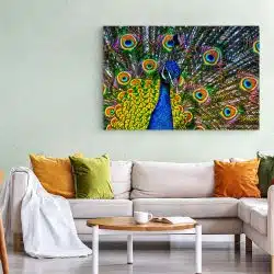 Tablou canvas paun cu coada desfacuta albastru verde 1199 living 1 - Afis Poster paun cu coada desfacuta albastru verde pentru living casa birou bucatarie livrare in 24 ore la cel mai bun pret.