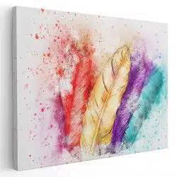 Tablou canvas pene pictura acuarela multicolor 1182 - Afis Poster pene acuarela pentru living casa birou bucatarie livrare in 24 ore la cel mai bun pret.