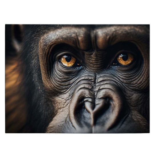 Tablou canvas portret maimuta gorila maro 1317 front - Afis Poster portret maimuta gorila maro pentru living casa birou bucatarie livrare in 24 ore la cel mai bun pret.