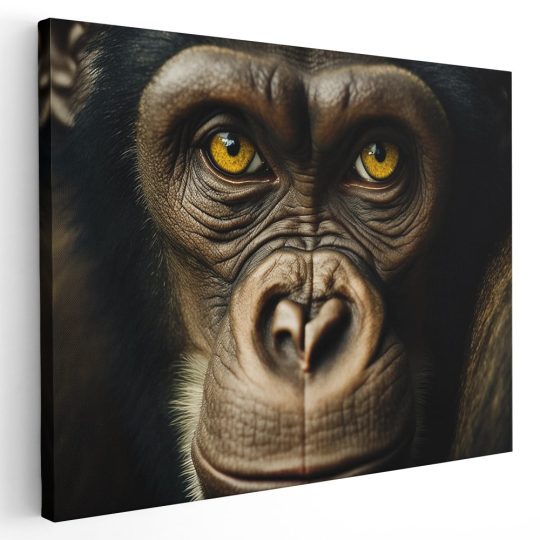 Tablou canvas portret maimuta gorila maro galben 1239 - Afis Poster portret maimuta gorila maro galben pentru living casa birou bucatarie livrare in 24 ore la cel mai bun pret.