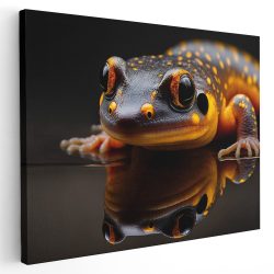 Tablou canvas salamandra cu propria reflexie portocaliu negru 1136 - Afis Poster salamandra cu propria reflexie portocaliu negru pentru living casa birou bucatarie livrare in 24 ore la cel mai bun pret.