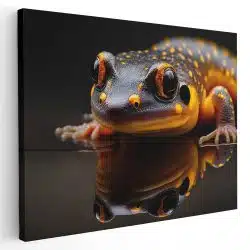 Tablou canvas salamandra cu propria reflexie portocaliu negru 1136 - Afis Poster salamandra cu propria reflexie portocaliu negru pentru living casa birou bucatarie livrare in 24 ore la cel mai bun pret.