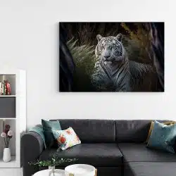 Tablou canvas tigru alb in natura negru alb verde 1111 living - Afis Poster tigru alb in natura negru alb verde pentru living casa birou bucatarie livrare in 24 ore la cel mai bun pret.