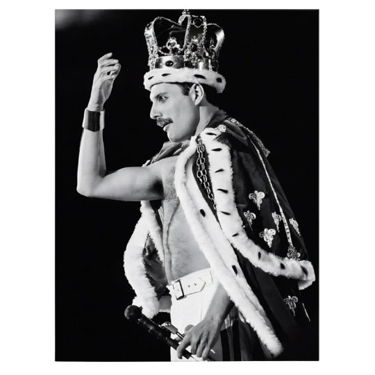 Tablou canvast portret Freddie Mercury Queen in alb negru 1022 front - Afis Poster portret Freddie Mercury Queen alb negru pentru living casa birou bucatarie livrare in 24 ore la cel mai bun pret.