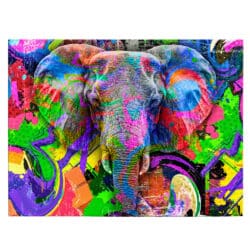 Tablou cap elefant fundal abstract graffiti 4983 front