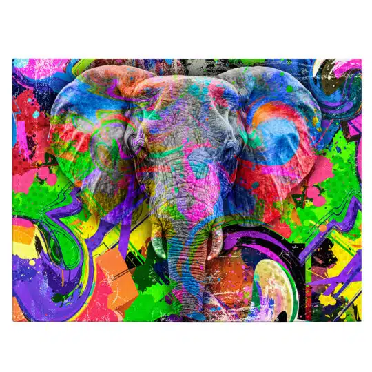 Tablou cap elefant fundal abstract graffiti 4983 front