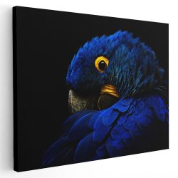 Tablou cap papagal Ara detaliu albastru negru 1615 - Afis Poster Tablou papagal Ara detaliu albastru pentru living casa birou bucatarie livrare in 24 ore la cel mai bun pret.