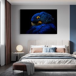 Tablou cap papagal Ara detaliu albastru negru 1615 dormitor - Afis Poster Tablou papagal Ara detaliu albastru pentru living casa birou bucatarie livrare in 24 ore la cel mai bun pret.