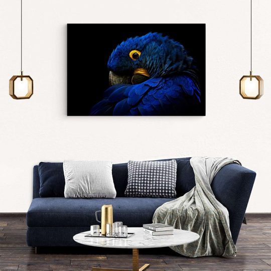 Tablou cap papagal Ara detaliu albastru negru 1615 living modern 2 - Afis Poster Tablou papagal Ara detaliu albastru pentru living casa birou bucatarie livrare in 24 ore la cel mai bun pret.