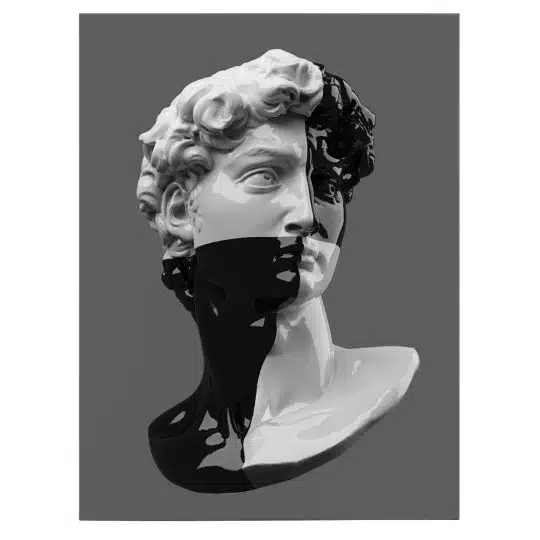 Tablou cap statuie David 3114 front