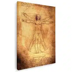 Tablou desen Omul Vitruvian de Leonardo da Vinci maro 1425 - Afis Poster desen Omul Vitruvian de Leonardo da Vinci maro pentru living casa birou bucatarie livrare in 24 ore la cel mai bun pret.