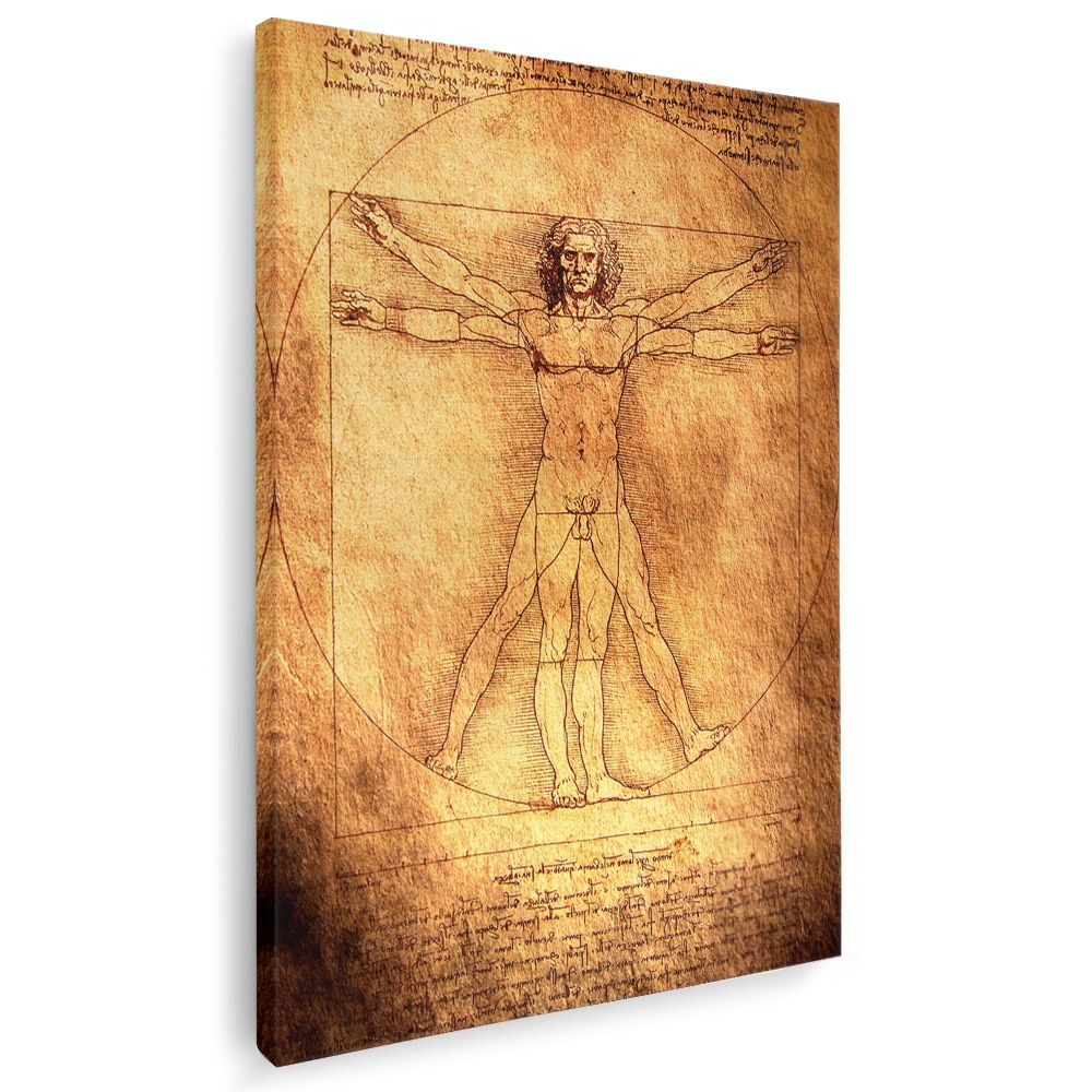 Tablou Desen Omul Vitruvian De Leonardo Da Vinci Maro