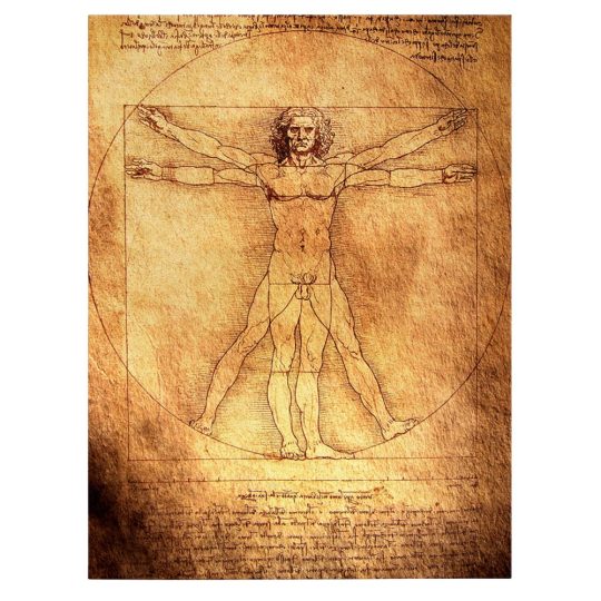 Tablou desen Omul Vitruvian de Leonardo da Vinci maro 1425 front - Afis Poster desen Omul Vitruvian de Leonardo da Vinci maro pentru living casa birou bucatarie livrare in 24 ore la cel mai bun pret.