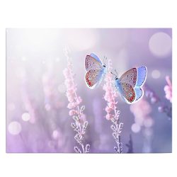 Tablou doi fluturi liliac pe flori de lavanda mov roz 1601 front - Afis Poster tablou doi fluturi flori de lavanda pentru living casa birou bucatarie livrare in 24 ore la cel mai bun pret.