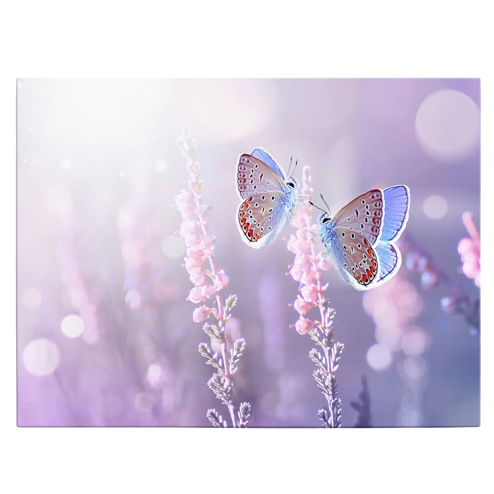 Tablou doi fluturi liliac pe flori de lavanda, mov, roz 1601 - Material produs:: Poster pe hartie FARA RAMA, Dimensiunea:: 20x30 cm