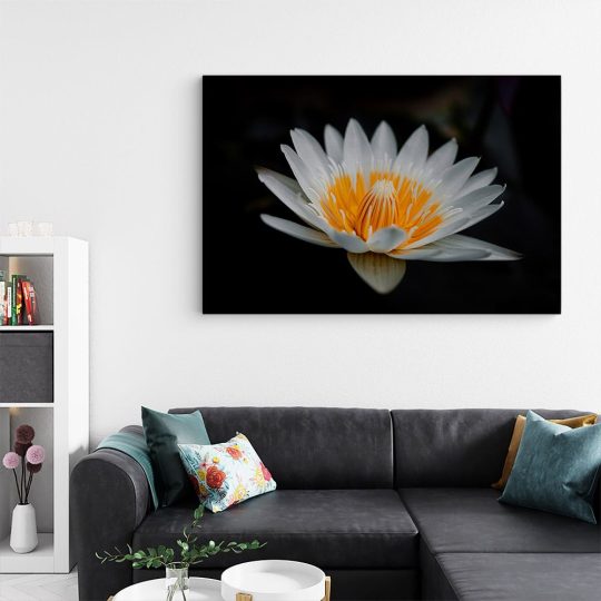 Tablou floare de lotus alb