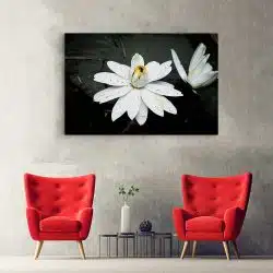 Tablou floare de lotus alba