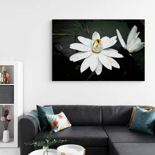 Tablou floare de lotus alba