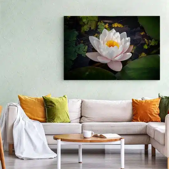 Tablou floare de lotus alba