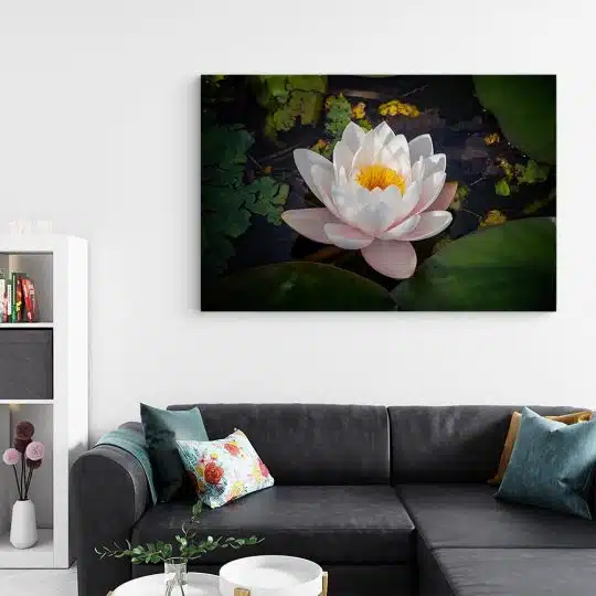 Tablou floare de lotus alba