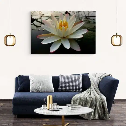 Tablou floare de lotus pe lac alb galben 1992 living modern 2 - Afis Poster Tablou floare de lotus pe lac pentru living casa birou bucatarie livrare in 24 ore la cel mai bun pret.