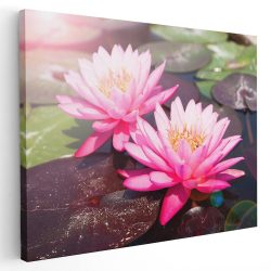Tablou floare de lotus roz