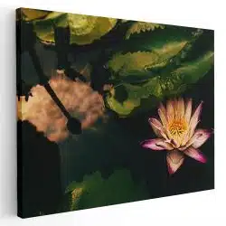 Tablou floare de lotus roz