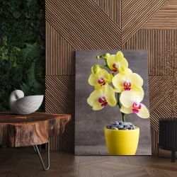 Tablou floare orhidee galbena