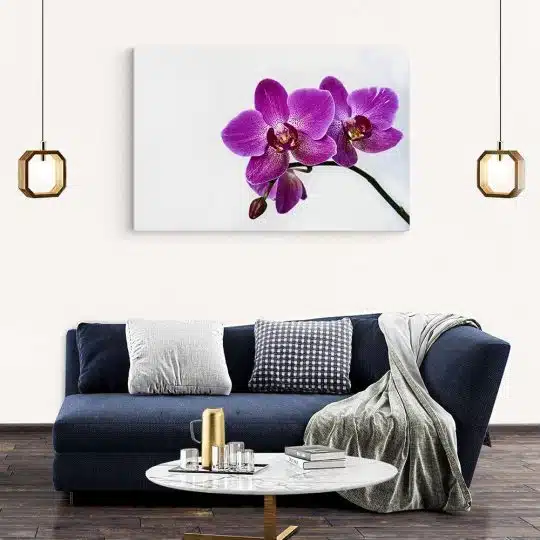 Tablou floare orhidee pe fundal alb violet alb 1584 living modern 2 - Afis Poster Tablou floare orhidee pentru living casa birou bucatarie livrare in 24 ore la cel mai bun pret.