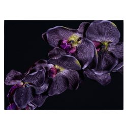 Tablou floare orhidee violet pe fundal negru violet negru 1591 front - Afis Poster Tablou floare orhidee violet pentru living casa birou bucatarie livrare in 24 ore la cel mai bun pret.