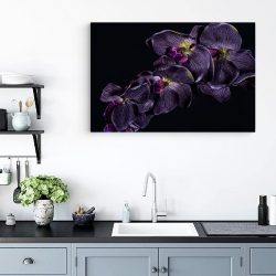 Tablou floare orhidee violet pe fundal negru violet negru 1591 bucatarie - Afis Poster Tablou floare orhidee violet pentru living casa birou bucatarie livrare in 24 ore la cel mai bun pret.