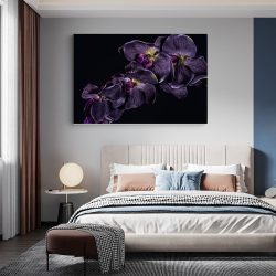 Tablou floare orhidee violet pe fundal negru violet negru 1591 dormitor - Afis Poster Tablou floare orhidee violet pentru living casa birou bucatarie livrare in 24 ore la cel mai bun pret.
