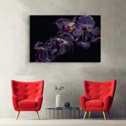 Tablou floare orhidee violet pe fundal negru violet negru 1591 hol - Afis Poster Tablou floare orhidee violet pentru living casa birou bucatarie livrare in 24 ore la cel mai bun pret.