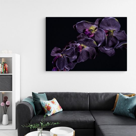 Tablou floare orhidee violet pe fundal negru violet negru 1591 living - Afis Poster Tablou floare orhidee violet pentru living casa birou bucatarie livrare in 24 ore la cel mai bun pret.