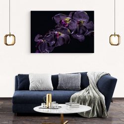 Tablou floare orhidee violet pe fundal negru violet negru 1591 living modern 2 - Afis Poster Tablou floare orhidee violet pentru living casa birou bucatarie livrare in 24 ore la cel mai bun pret.