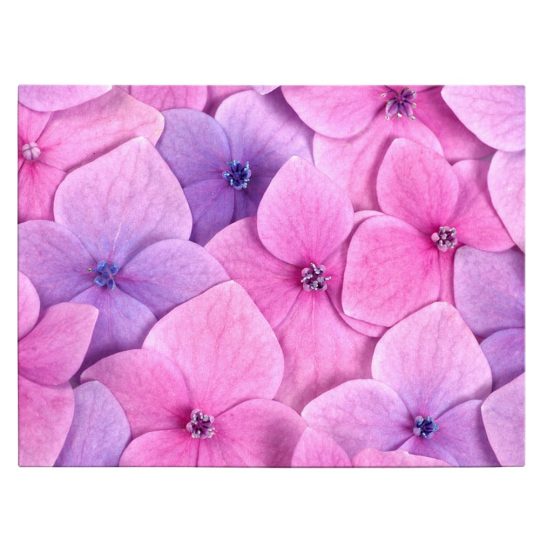 Tablou floare roz de hortensie detaliu