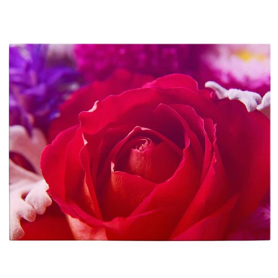 Tablou floare trandafir rosu detaliu