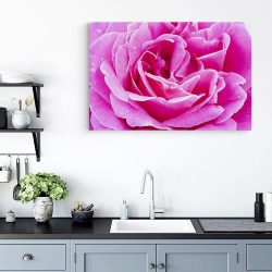 Tablou floare trandafir roz detaliu