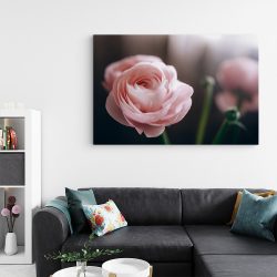 Tablou floare trandafir roz verde roz 1617 living - Afis Poster Tablou floare trandafir roz pentru living casa birou bucatarie livrare in 24 ore la cel mai bun pret.