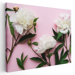 Tablou flori bujori albi fundal roz