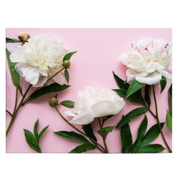 Tablou flori bujori albi fundal roz