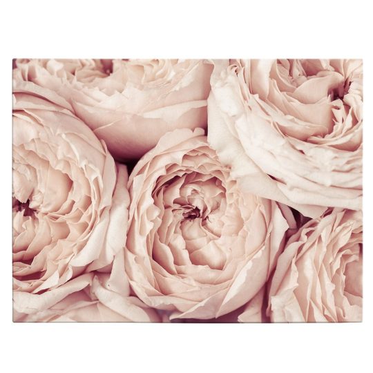 Tablou flori de bujor roz