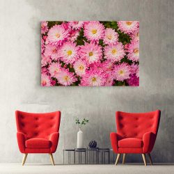 Tablou flori de crizantema roz