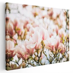 Tablou flori de magnolie roz