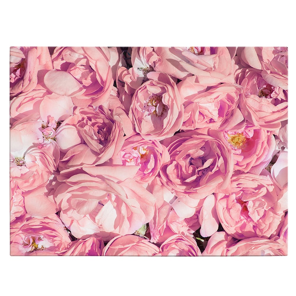Tablou flori trandafiri roz - Material produs:: Poster pe hartie FARA RAMA, Dimensiunea:: 80x120 cm