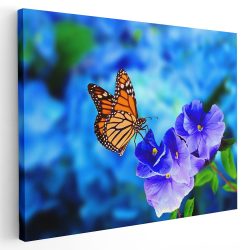 Tablou fluture monarh pe floare albastra albastru 1582 - Afis Poster Tablou fluture monarh pentru living casa birou bucatarie livrare in 24 ore la cel mai bun pret.