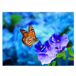 Tablou fluture monarh pe floare albastra albastru 1582 front - Afis Poster Tablou fluture monarh pentru living casa birou bucatarie livrare in 24 ore la cel mai bun pret.