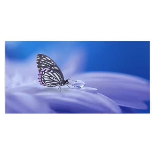 Tablou fluture pe floare detaliu 3211 front